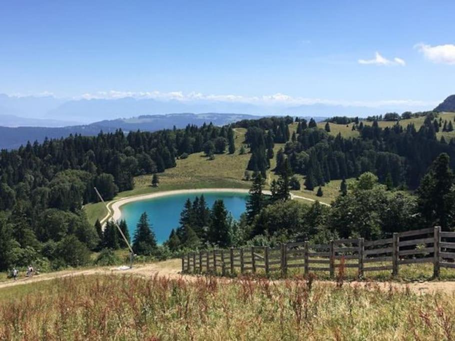 Studio « Le Petit Montagnard » 马尔比伊松 外观 照片
