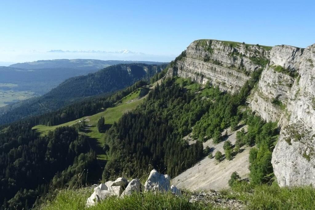 Studio « Le Petit Montagnard » 马尔比伊松 外观 照片